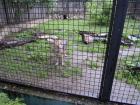 SAM_0971
