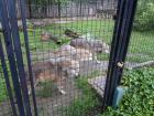 SAM_0972
