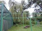 SAM_0974