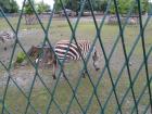 SAM_0975