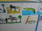 SAM_0991