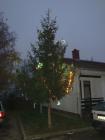DSC09715