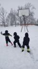 IMG_20190124_110226