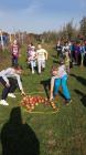 IMG_20191017_105943