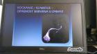 IMG_20201110_103501