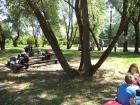 DSC05065