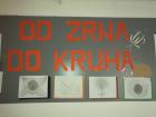 Dani_zahvalnosti_za_plodove_zemlje_Svjetski_dan_jabuka (1)