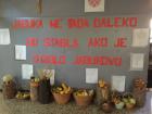 Dani_zahvalnosti_za_plodove_zemlje_Svjetski_dan_jabuka (6)