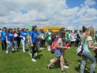 Lino_visebojac_finale (10)