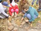 11. GORI VATRA
