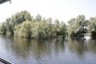 IMG_2031