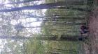 20161004_113309