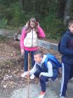 IMG_20161004_112915