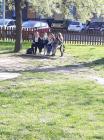 IMG-5902f2302d4c0adf5d949d4880200a84-V