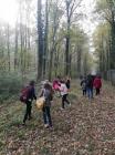IMG_20181019_100317