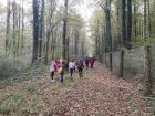 IMG_20181019_100325_1
