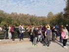 IMG_20181019_105552