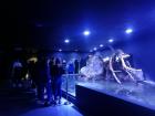 IMG_20190429_143223