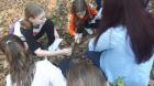 Thumbnail (11)