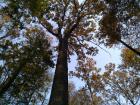 Thumbnail (2)