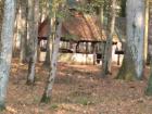 Thumbnail (7)
