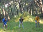 Outward Bound (14)
