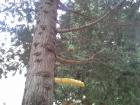 Hranilice (11)