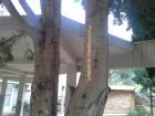 Hranilice (6)