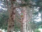 Hranilice (7)