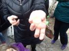 Melem Za Usne (14)