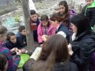 Melem Za Usne (15)
