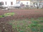 Proljece (1)