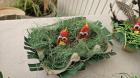 IMG-20240327-WA0013