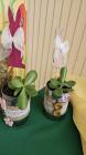 IMG-20240327-WA0015