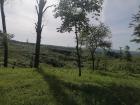 IMG-20240429-WA0061