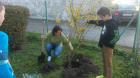 Volonterska Akcija_Proni Centar 058 (1)