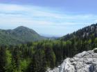 2015-05-29 13.27.59