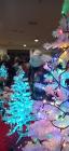 IMG_20221221_170432