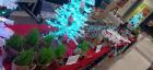 IMG_20221221_160801