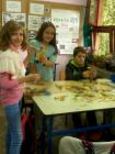 IMG0535A