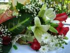 DSC07005