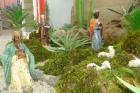 DSC01626