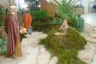 DSC01629