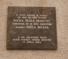 DSC06596-1