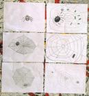 IMG_20220923_123735