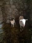IMG-4fd2a05fc437f1528526cf313ceec2c9-V