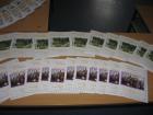 kolski Projekt 2011 -2012 054