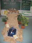 kolski Projekt 2011 -2012 066