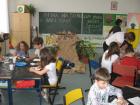 kolski Projekt 2011 -2012 077