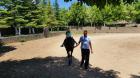 Picture 101 (Small)